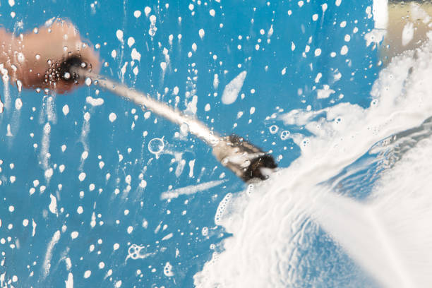 Best Animal Enclosure Cleaning  in Durant, IA